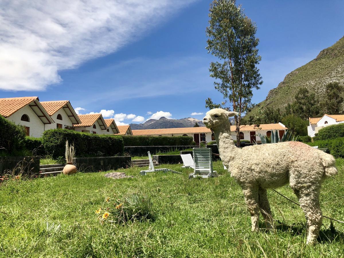 Casona Plaza Ecolodge Colca Yanque Luaran gambar